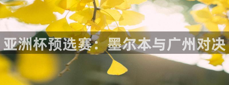 亚洲杯预选赛：墨尔本与广州对决